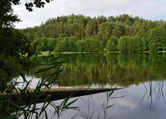 بيت خشبي Siedlisko